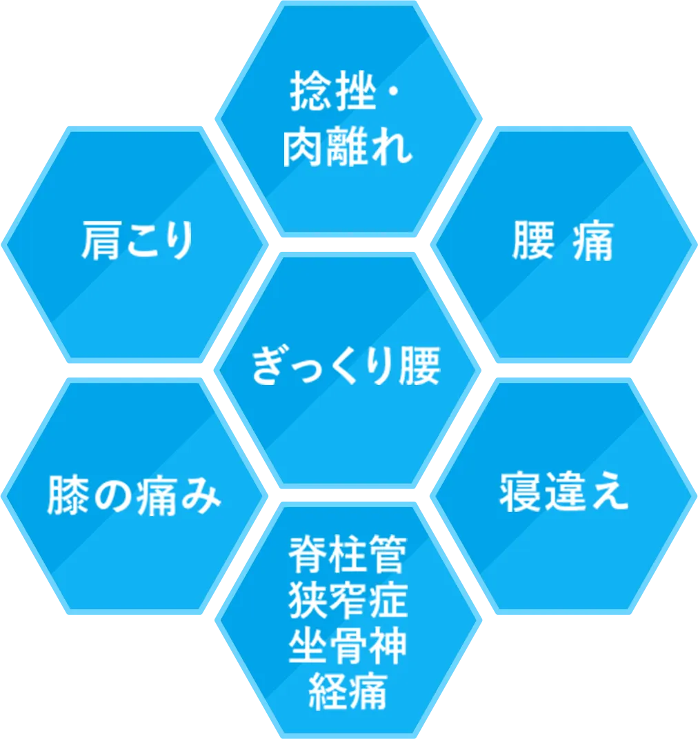 新体操日本代表